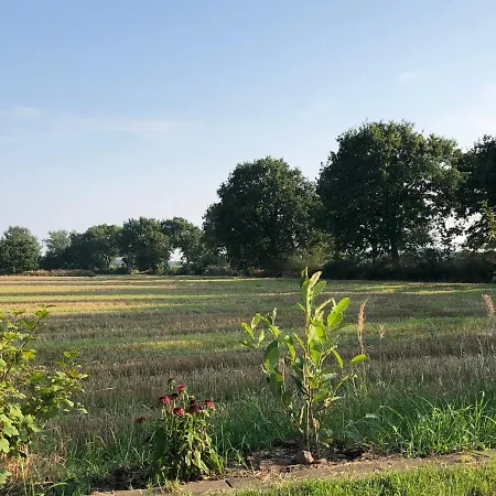 De Luette Moehl Apartment Hollingstedt