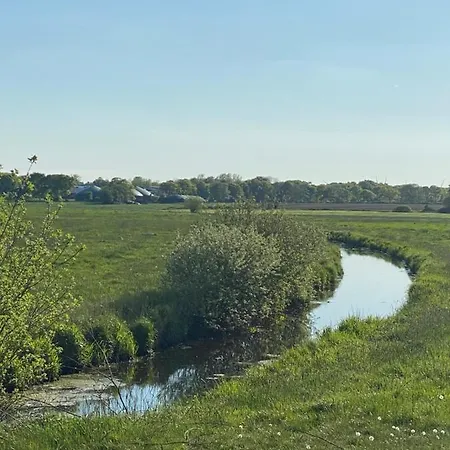 De Luette Moehl Hollingstedt