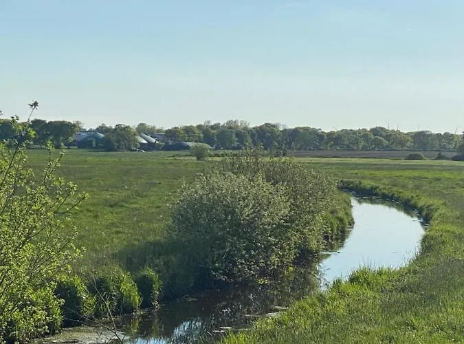 De Luette Moehl Hollingstedt